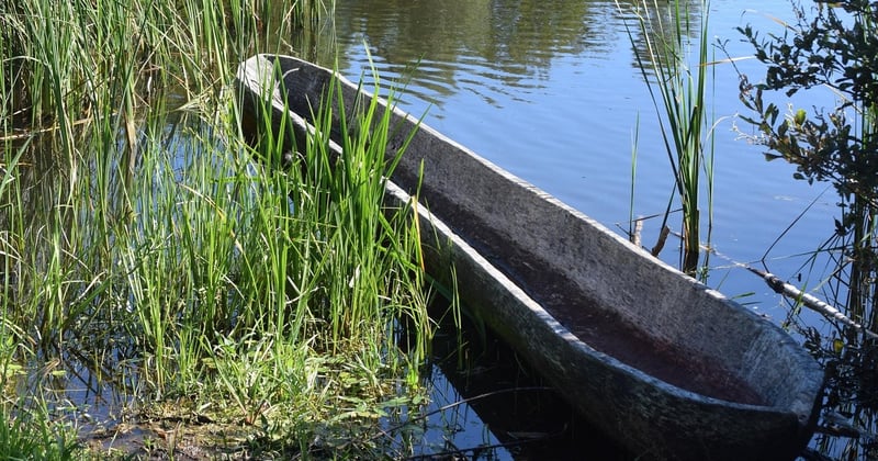 Les musées vikings à voir en Scandinavie : notre guide des incontournables