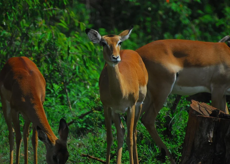 Sécurité en voyage en Afrique : les règles que j'ai apprises à la dure